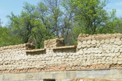 cob