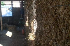 baloti